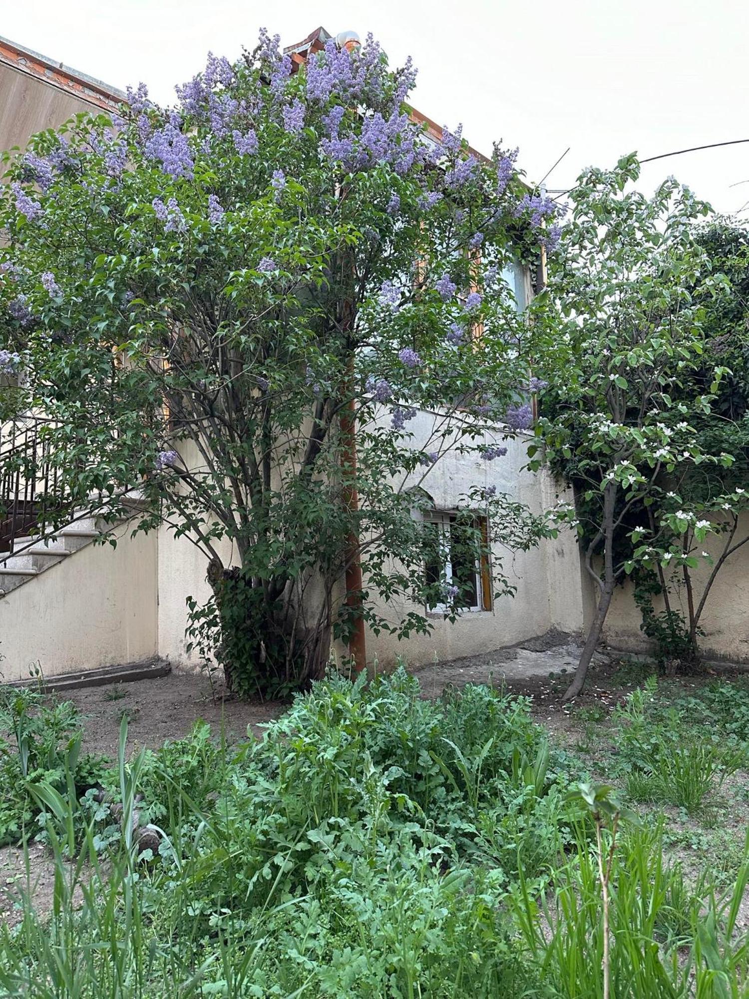 יירבאן Popock City Center מראה חיצוני תמונה