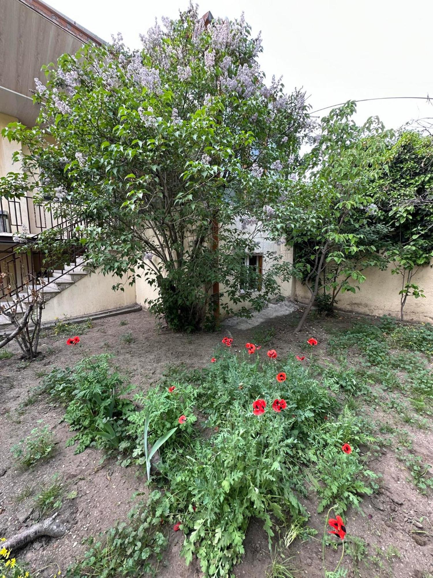 יירבאן Popock City Center מראה חיצוני תמונה
